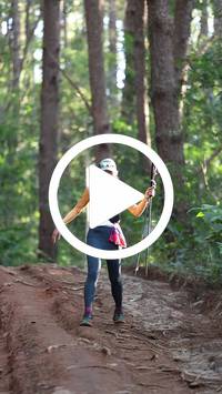 BIB:  <button type="button" onclick="openModal(26569947)" class="btn btn-primary btn-sm float-right" data-toggle="modal" data-target=".modal-high-quality">
                <i class="fa fa-download"></i> Download
                </button>